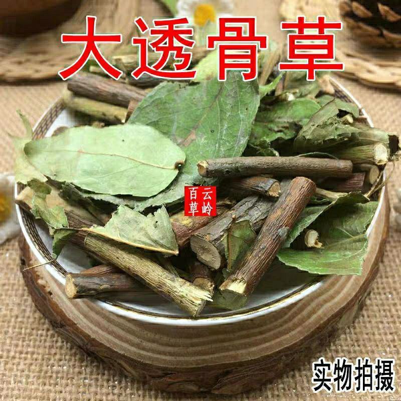 新鲜干货云南野生中药材透骨草大透骨草泡酒泡脚包邮