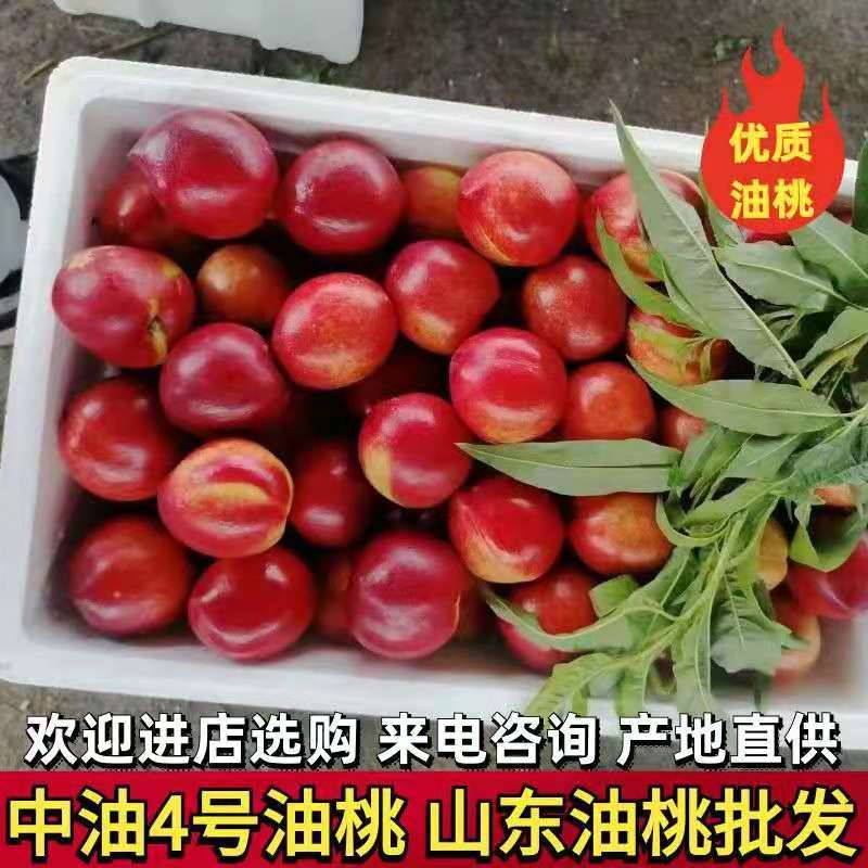 油桃大量上市，货源充足口感脆甜，全国发质量保证。