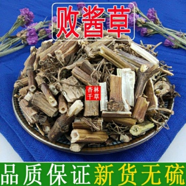 云南野生中药材败酱草黄花败酱龙牙败酱黄花龙牙包邮