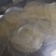 绿豆粉皮厂家直销质量保证价格优惠专业对接商超，电商