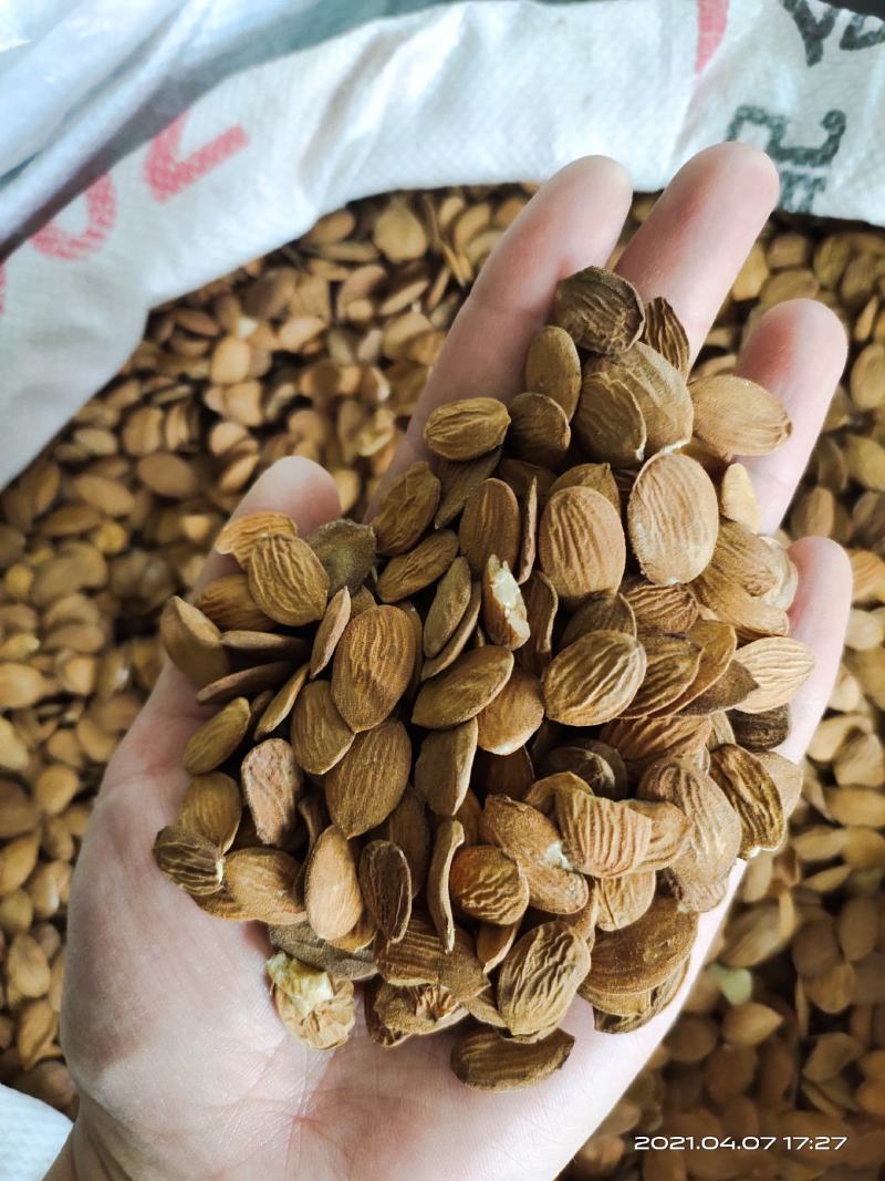 【文斌药业】桃仁家桃仁饱满地道药材