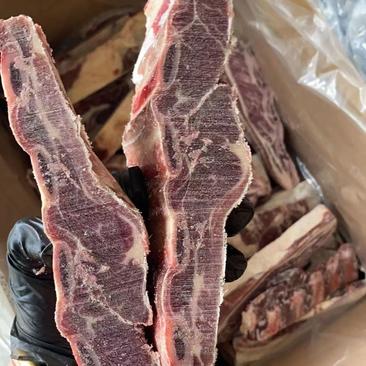 【冷链鲜肉】多肉牛排5肋多肉牛排段品质保证，全国发货