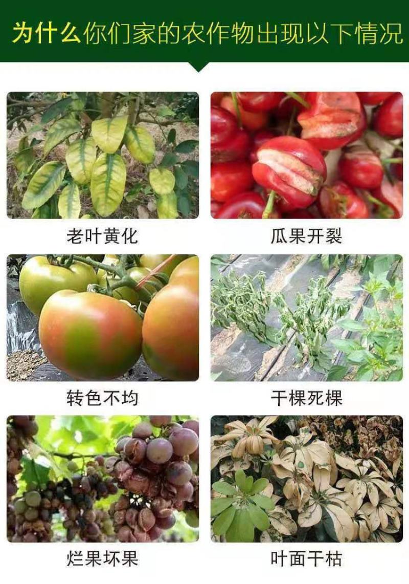 微量元素水溶肥硼、锌、锰、铁、镁、钙、硅全水溶