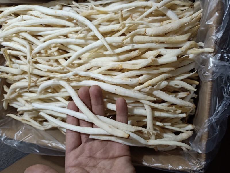 【精品】川明参地摊货，整年供货。沟通好下单，以免货发错