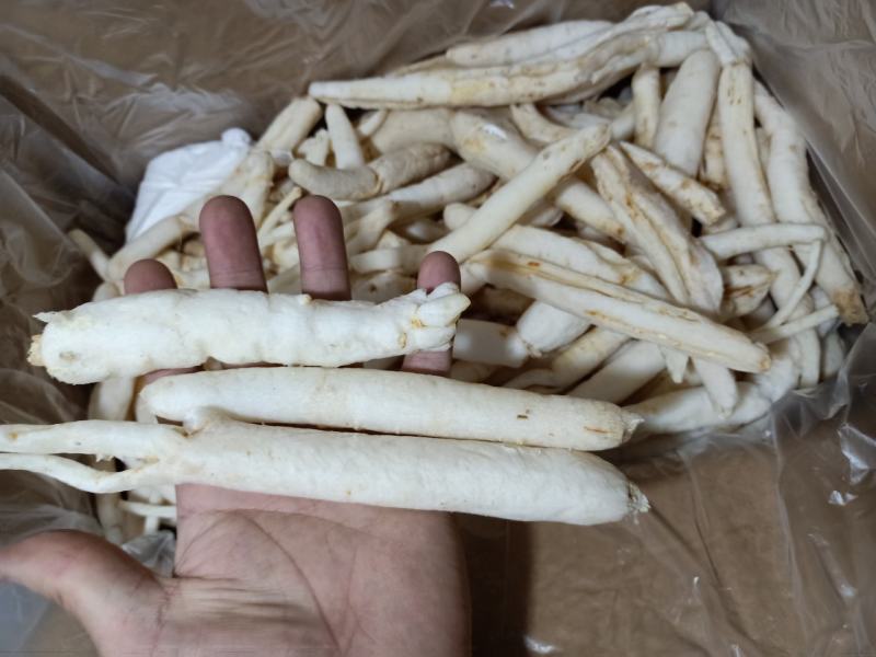 【精品】川明参地摊货，整年供货。沟通好下单，以免货发错