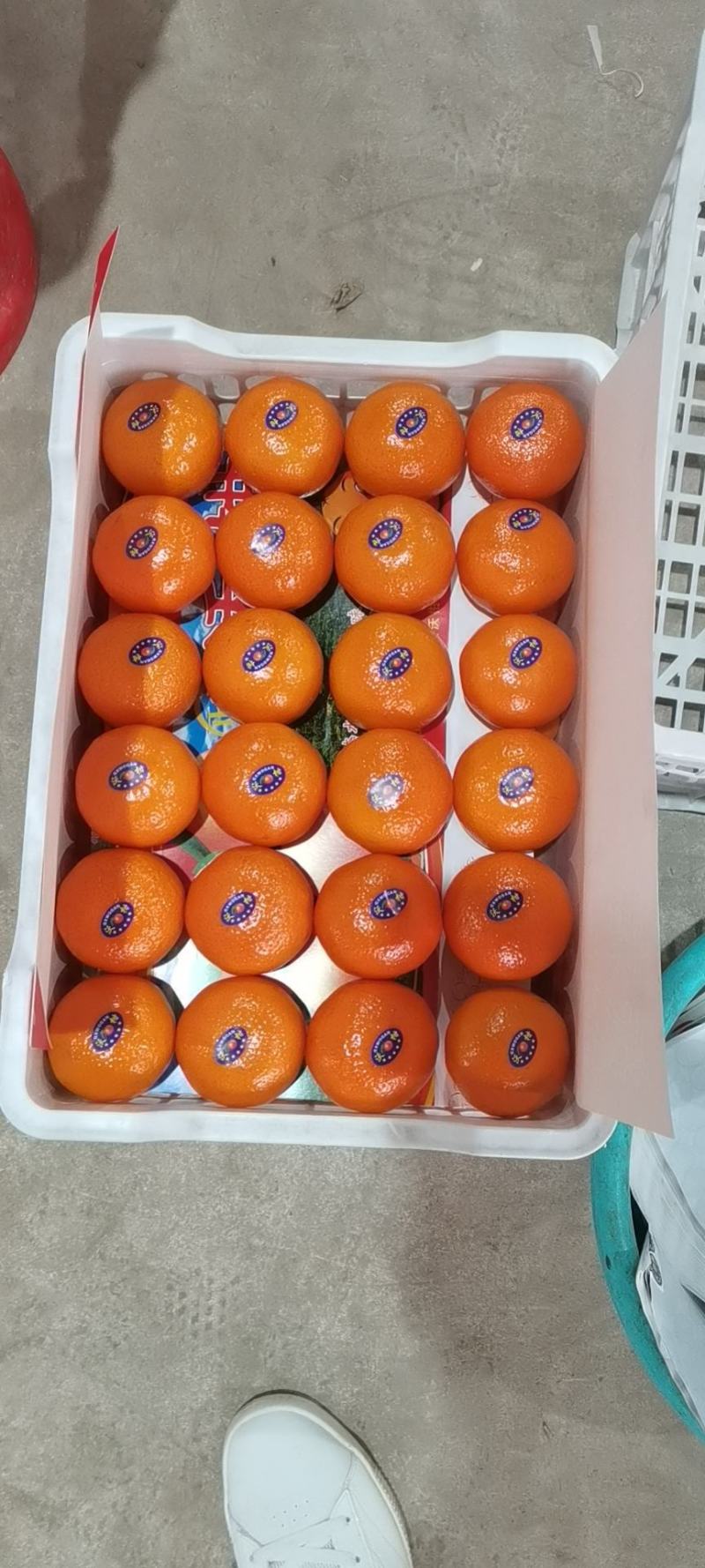 沃杆超甜超靓化渣好，可提供一件或者多件代发