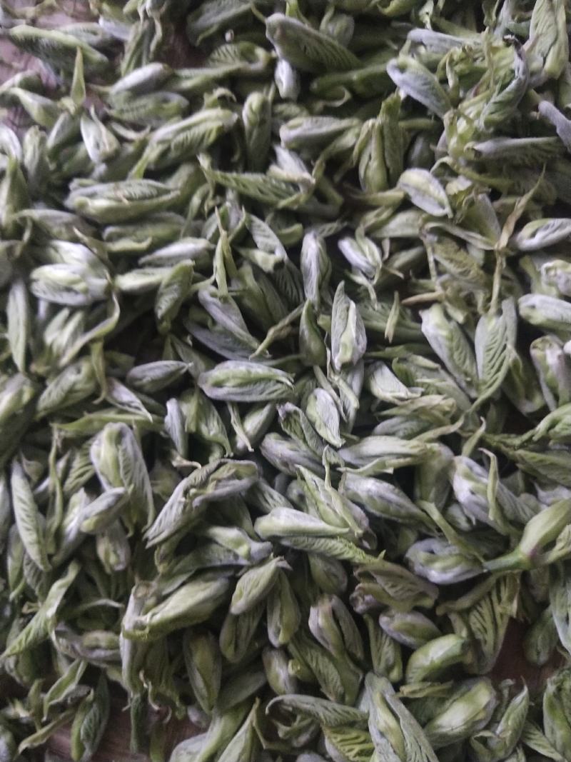 桑芽茶，精选芽茶