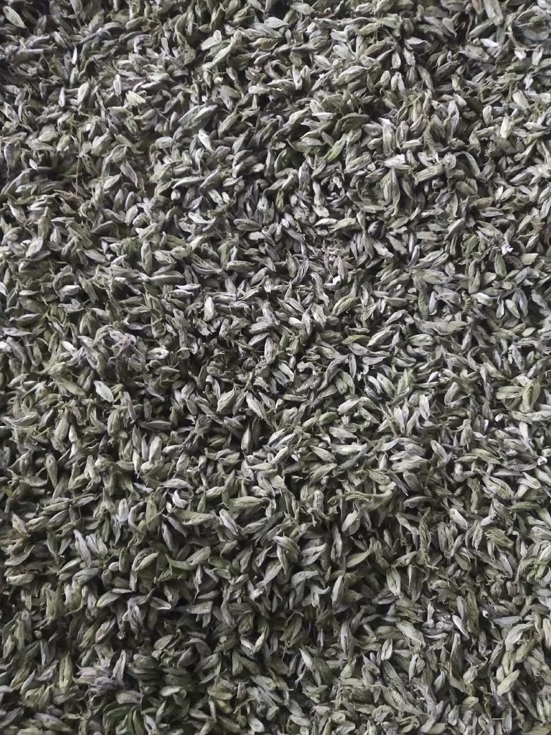 桑芽茶，精选芽茶