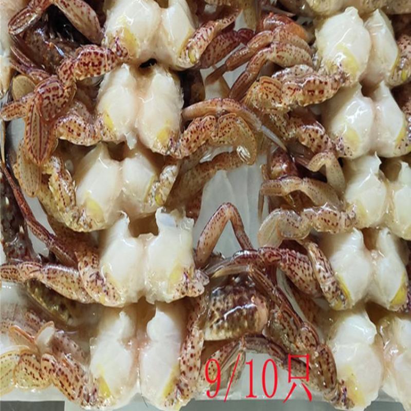 黑蟹排去壳黑蟹3/45/67/89/10都有