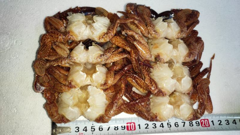 黑蟹排去壳黑蟹3/45/67/89/10都有
