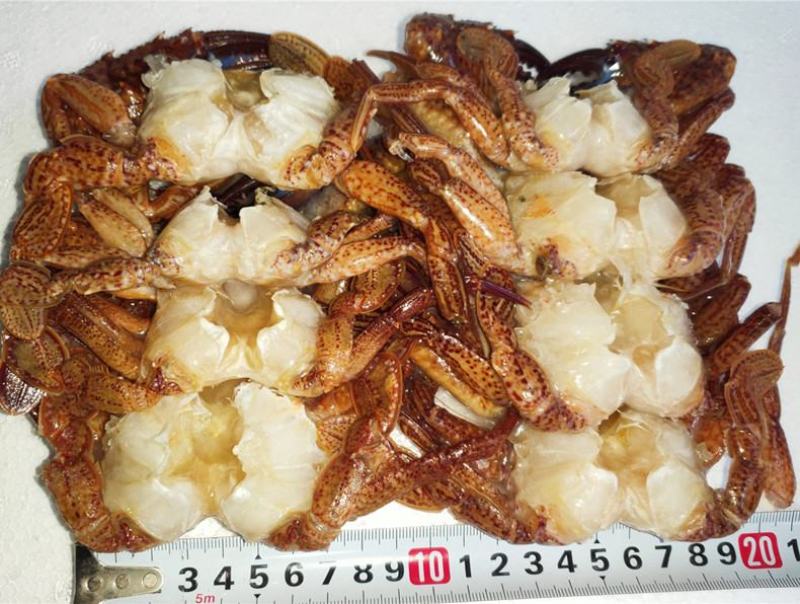 黑蟹排去壳黑蟹3/45/67/89/10都有