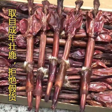 梅花鹿干鹿鞭鹿场一手货源鹿鞭大量批发