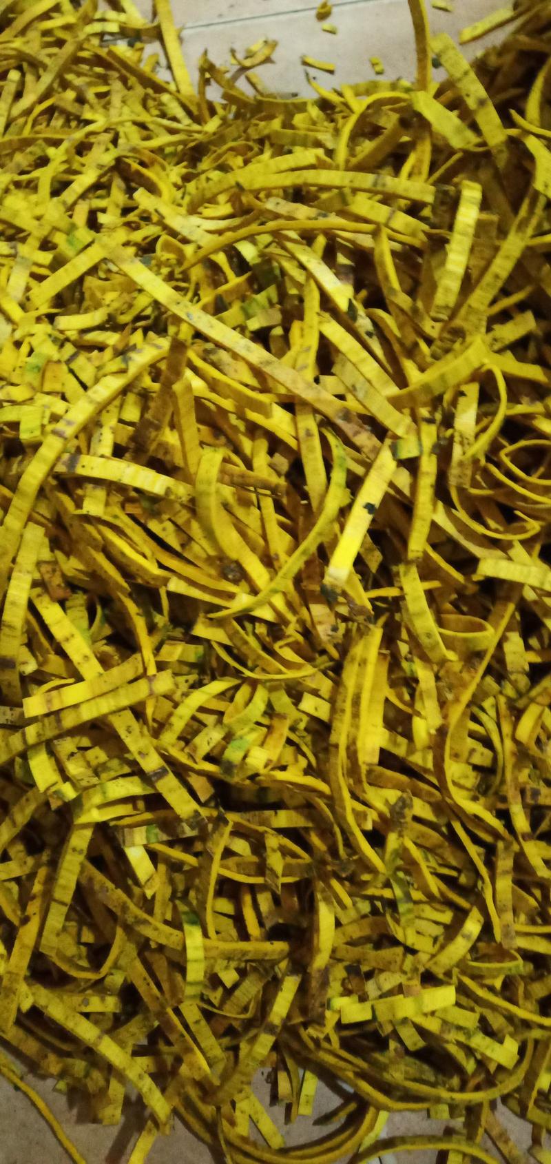 四川汶川水磨，精品黄柏丝，全是土黄柏，0.8宽丝，需要老