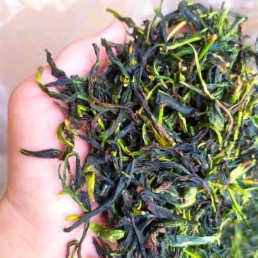 抽湿鸭屎香单枞茶生茶高山单丛茶凤凰单枞茶叶乌龙茶