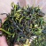 抽湿鸭屎香单枞茶生茶高山单丛茶凤凰单枞茶叶乌龙茶