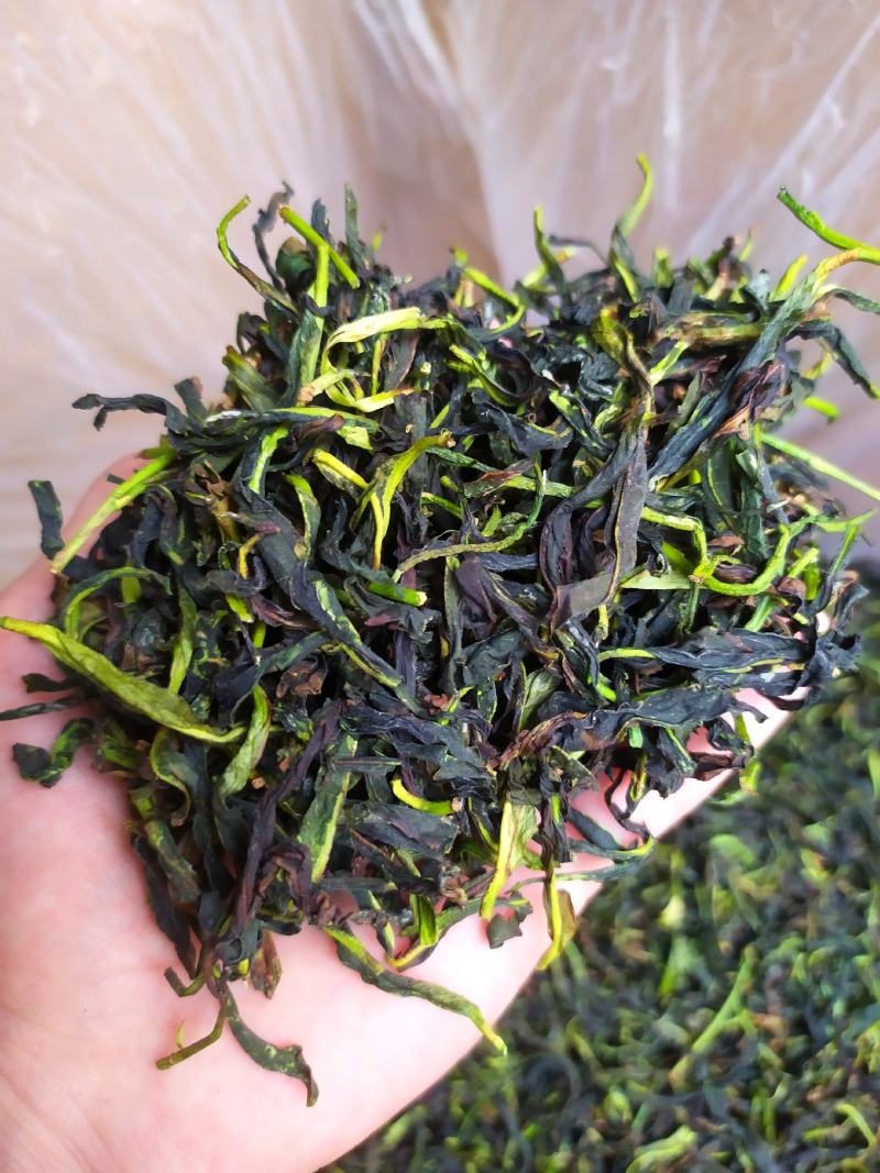 抽湿鸭屎香单枞茶生茶高山单丛茶凤凰单枞茶叶乌龙茶