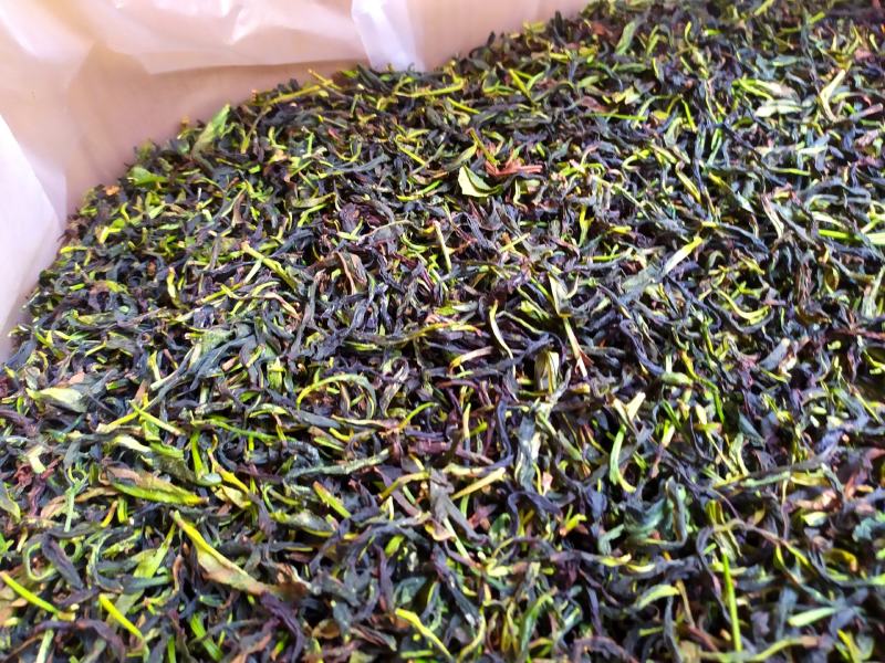 抽湿鸭屎香单枞茶生茶高山单丛茶凤凰单枞茶叶乌龙茶