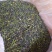 抽湿鸭屎香单枞茶生茶高山单丛茶凤凰单枞茶叶乌龙茶