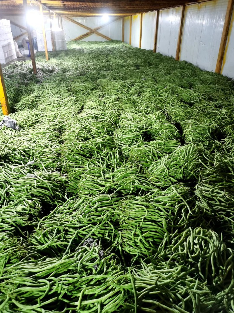 加祥四季蔬菜专业合作社，