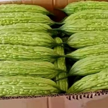 加祥四季蔬菜专业合作社，