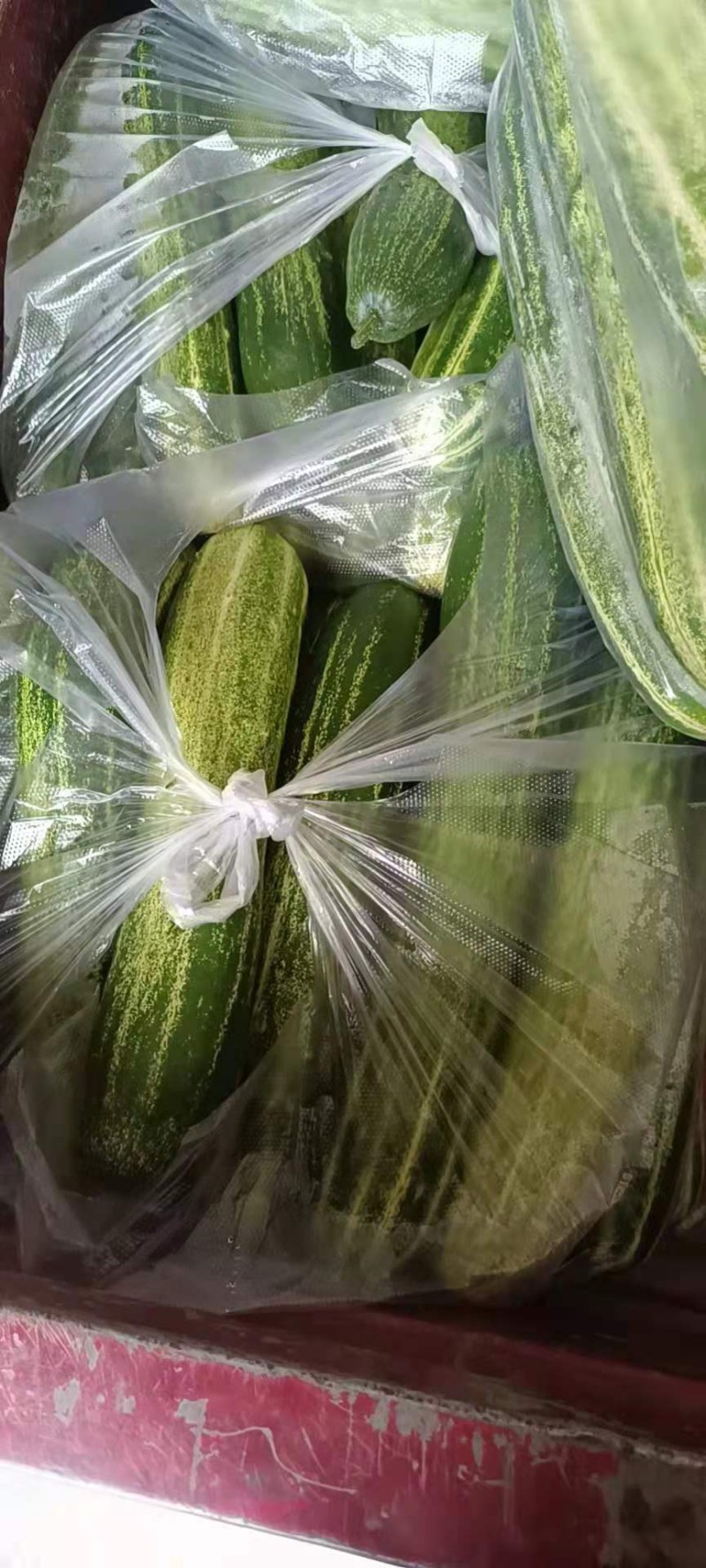 加祥四季蔬菜专业合作社，
