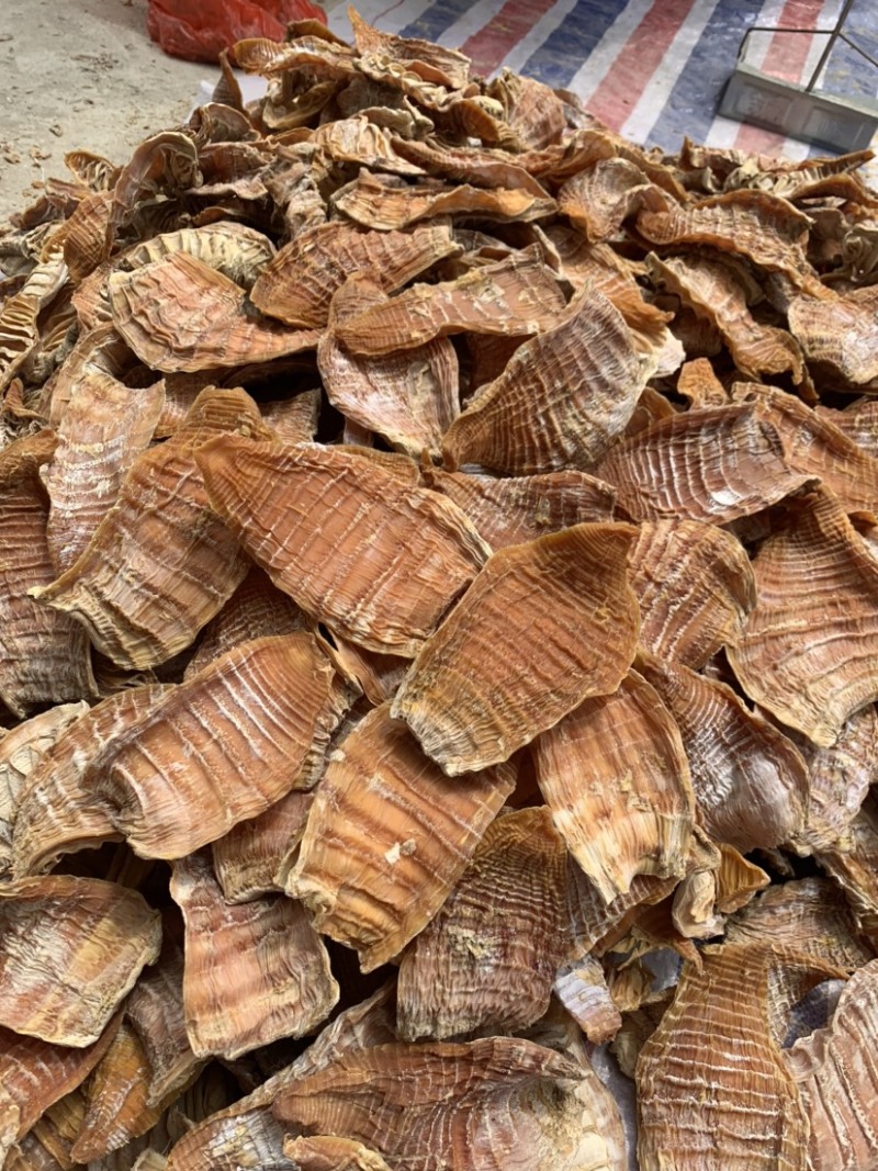 新货江西笋干笋尖玉兰片笋片毛竹笋干中片笋片