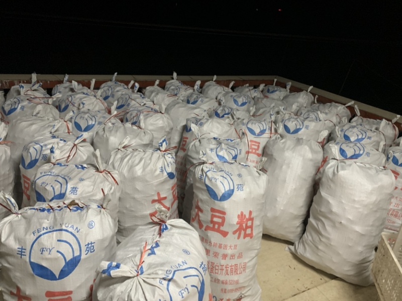 新货江西笋干笋尖玉兰片笋片毛竹笋干中片笋片