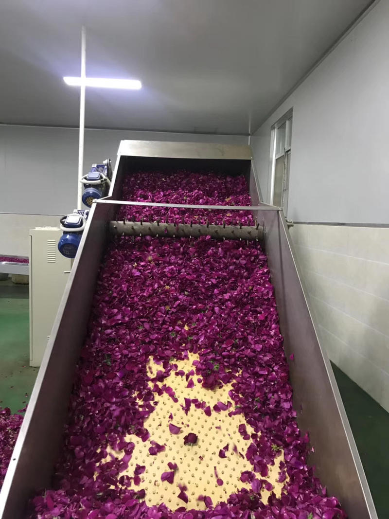云南省滇红食用玫瑰干花瓣制作阿胶泡水饮用