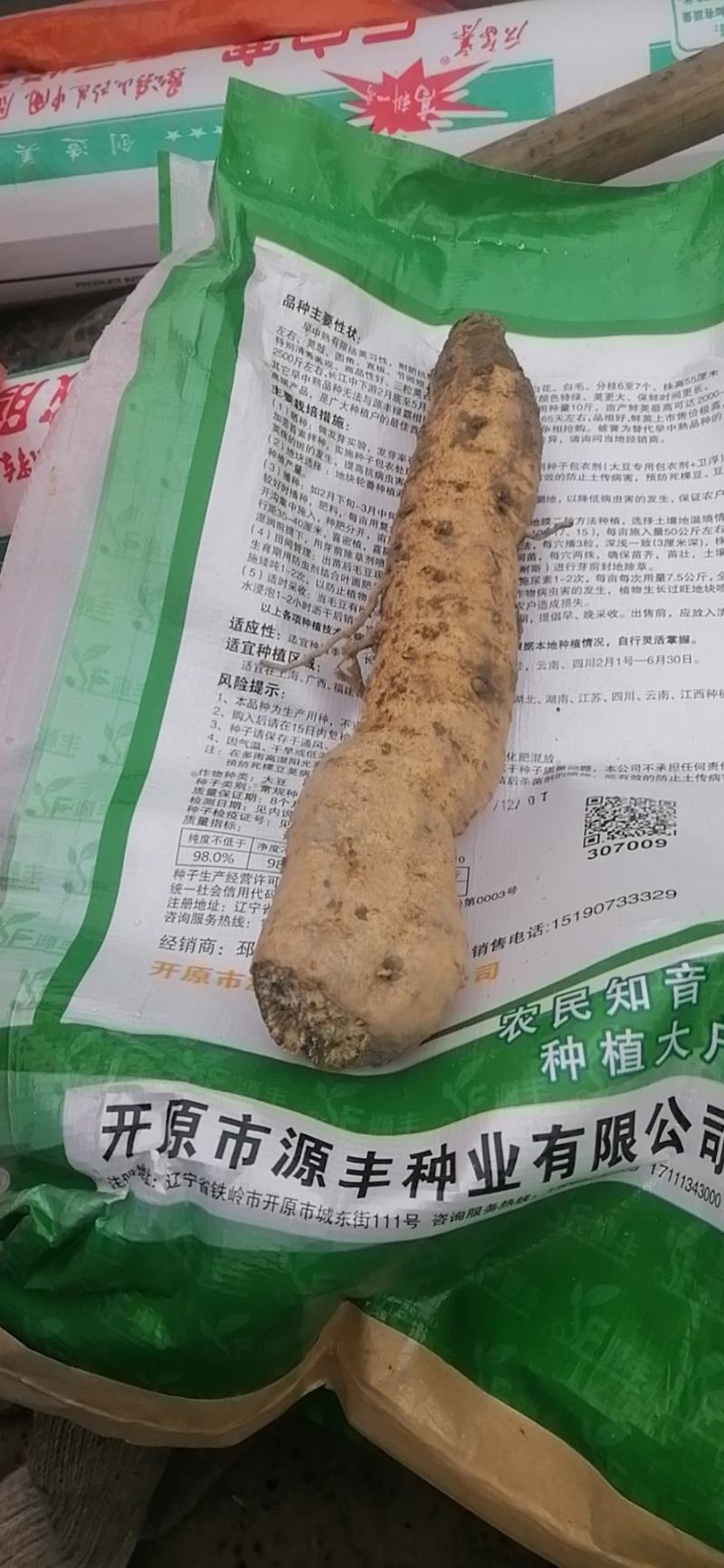 瓜蒌根，只卖根，刚刨出来的。
