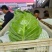地头精品甘蓝，量大质优，支持各种包装欢迎各地老板实地考察