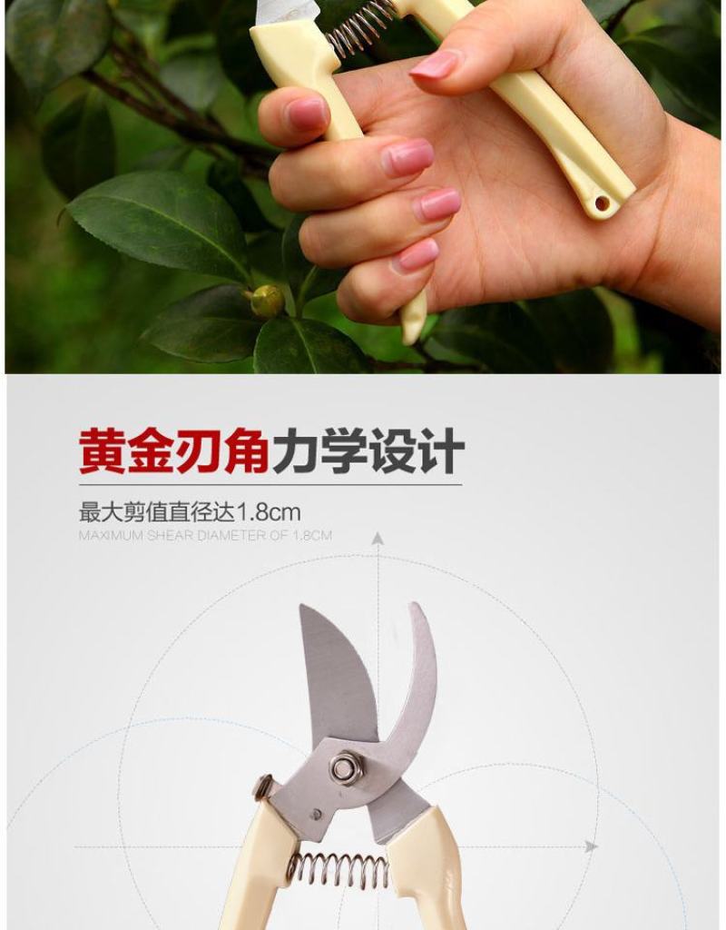 不锈钢花剪园林园艺大剪刀修枝剪树枝剪刀剪子果树摘菜神器省