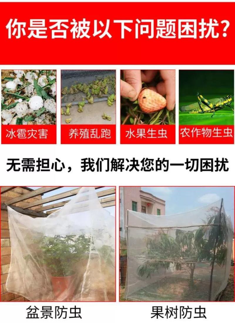 40目农用防虫网水果树樱桃网罩脐橙莲雾蓝莓桃树防鸟大棚杨