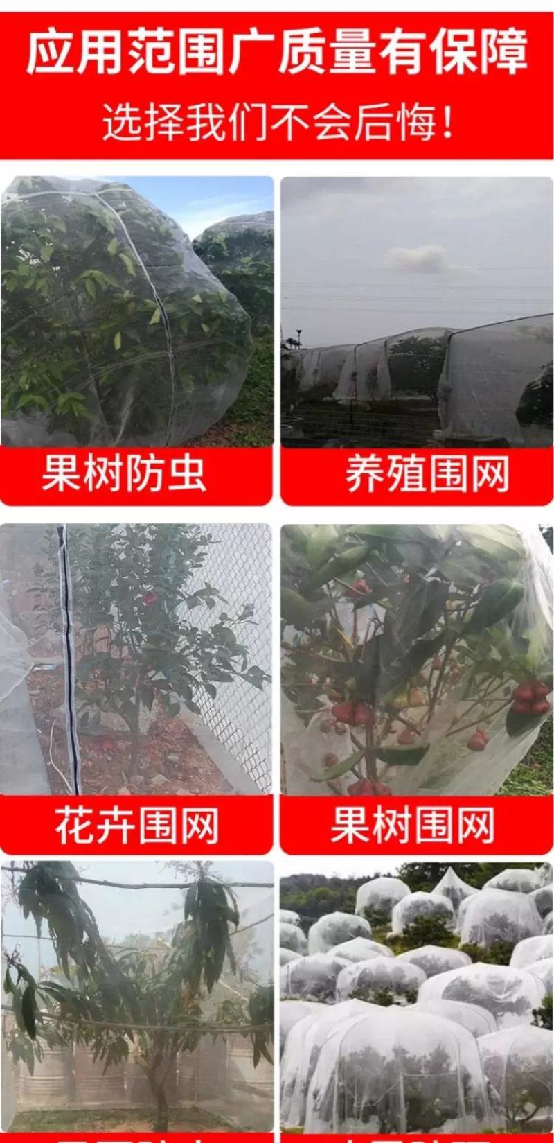 40目农用防虫网水果树樱桃网罩脐橙莲雾蓝莓桃树防鸟大棚杨