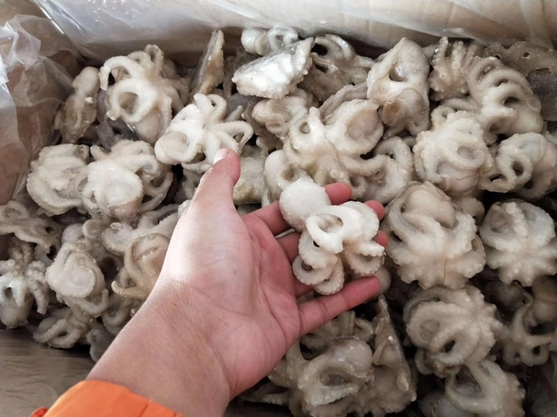 去脏八爪鱼盐揉章鱼小迷你单冻八抓鱼全规格