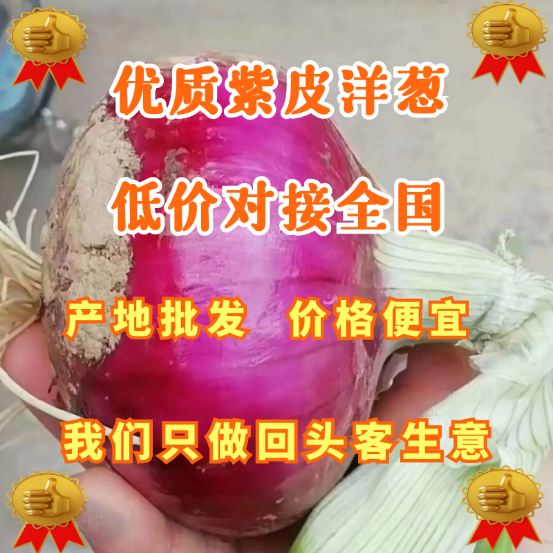 优质紫皮洋葱，产地直发，价格便宜，批发、商超对接全国
