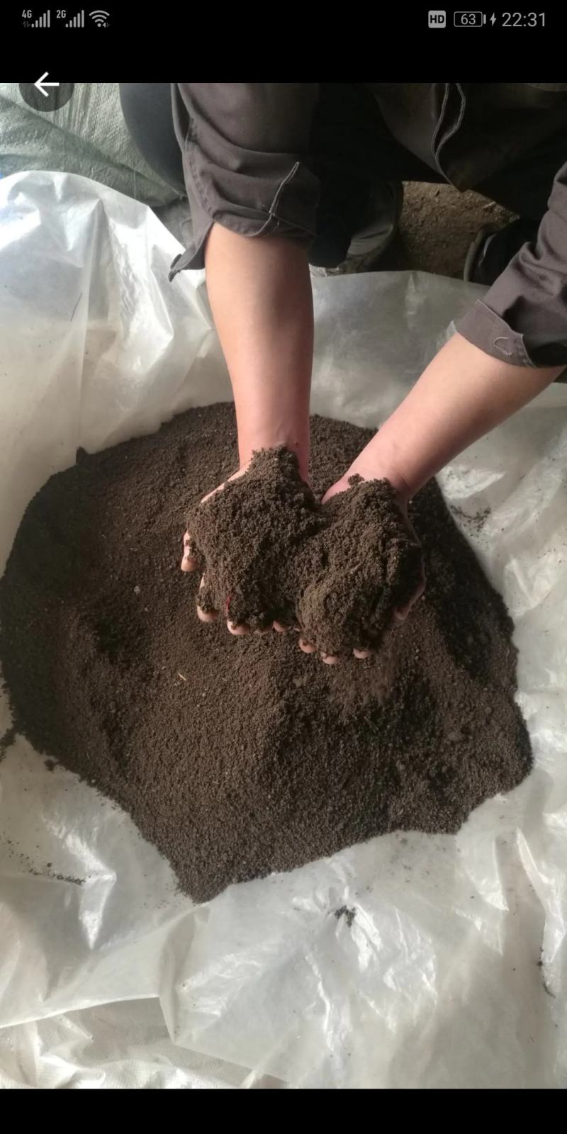 纯肉牛粪养殖蚯蚓粪有机肥，欢迎老板们实地考察