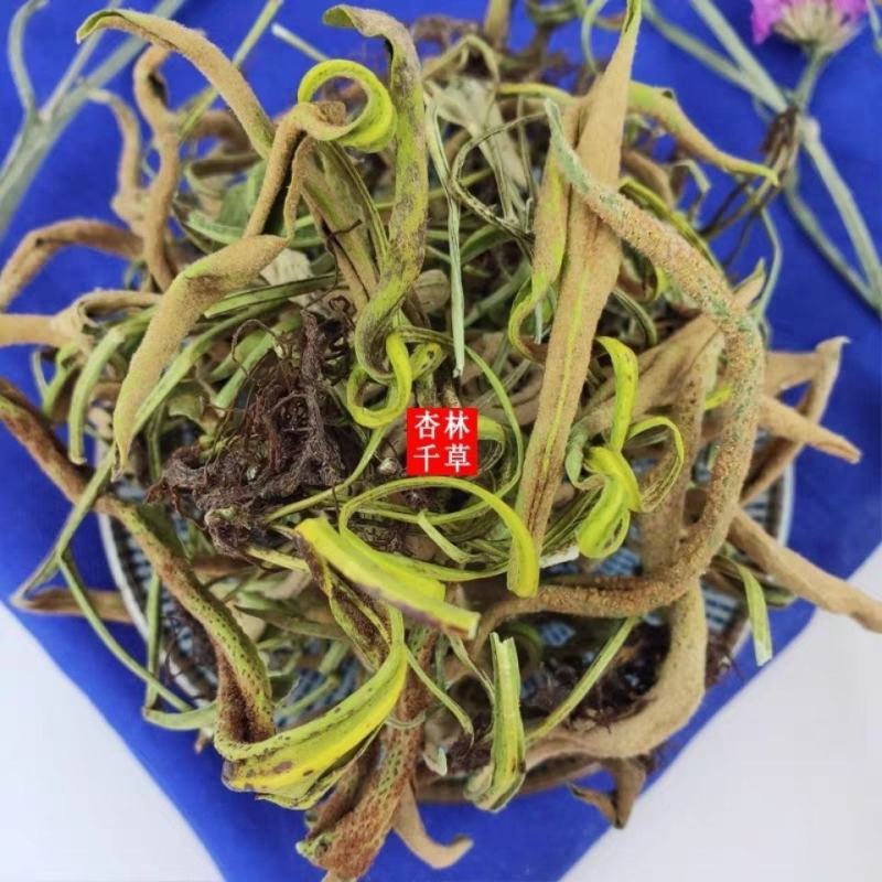 新鲜干货云南野生中药材石苇石韦刀口药金星草包邮