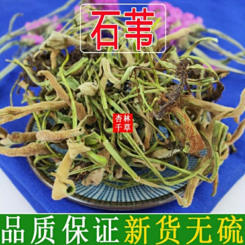 新鲜干货云南野生中药材石苇石韦刀口药金星草包邮