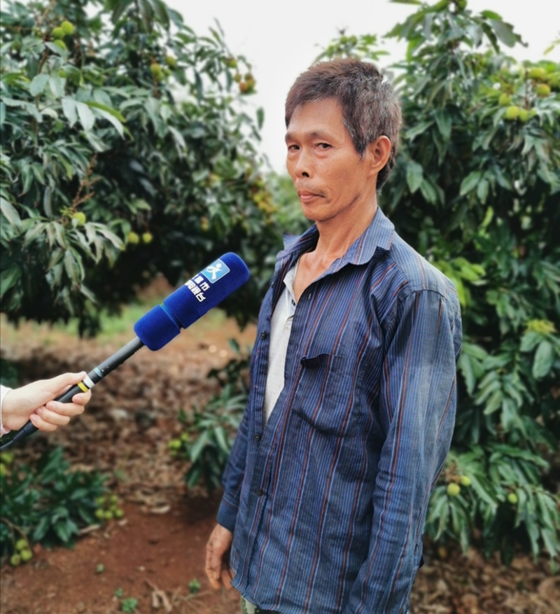 东路妃子笑荔枝，我在等你来。