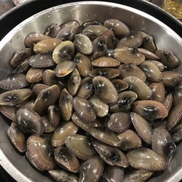 正宗油甲大量出售长期稳定供应