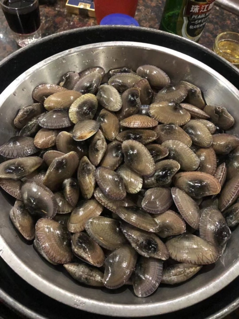 正宗油甲大量出售长期稳定供应