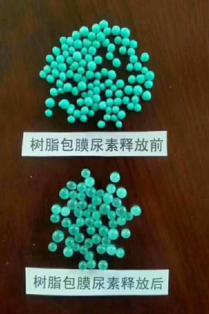 玉米肥,玉米专用肥,玉米控释肥,玉米专用控释肥。