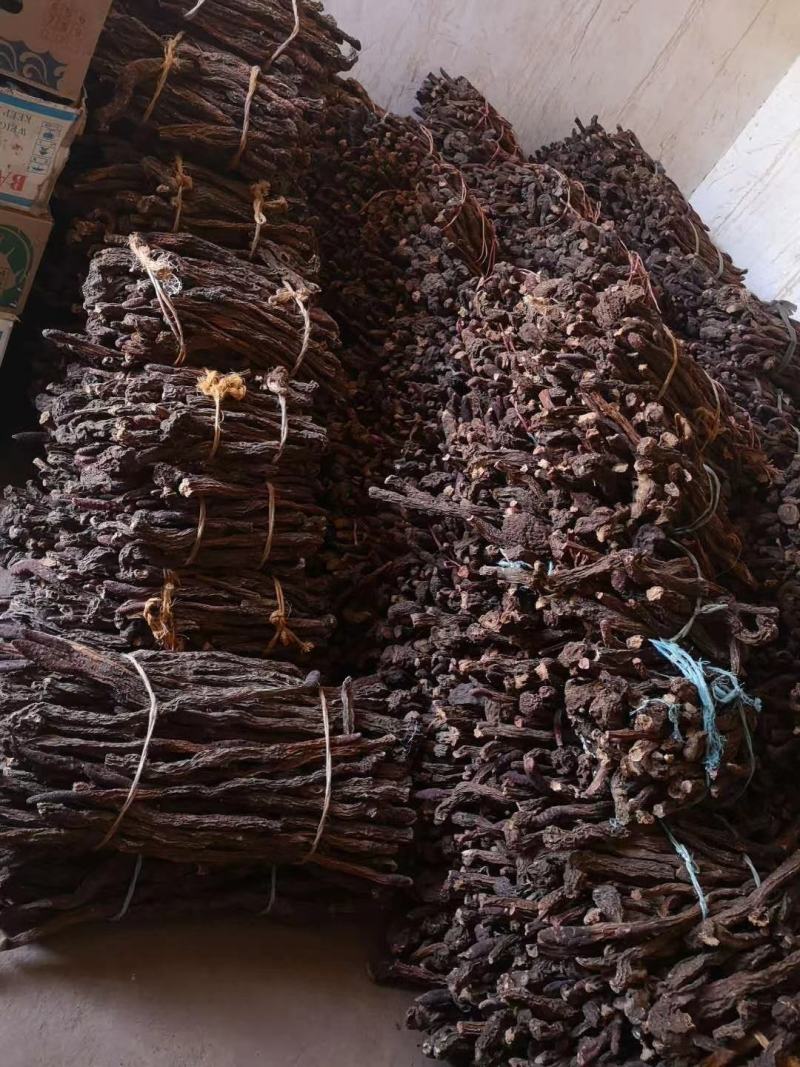 精品锁阳新货大量批发，场地直销货好特惠各种规格欢迎咨询