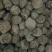 藕节1公斤湖南起批无硫无添加不包邮只做正品