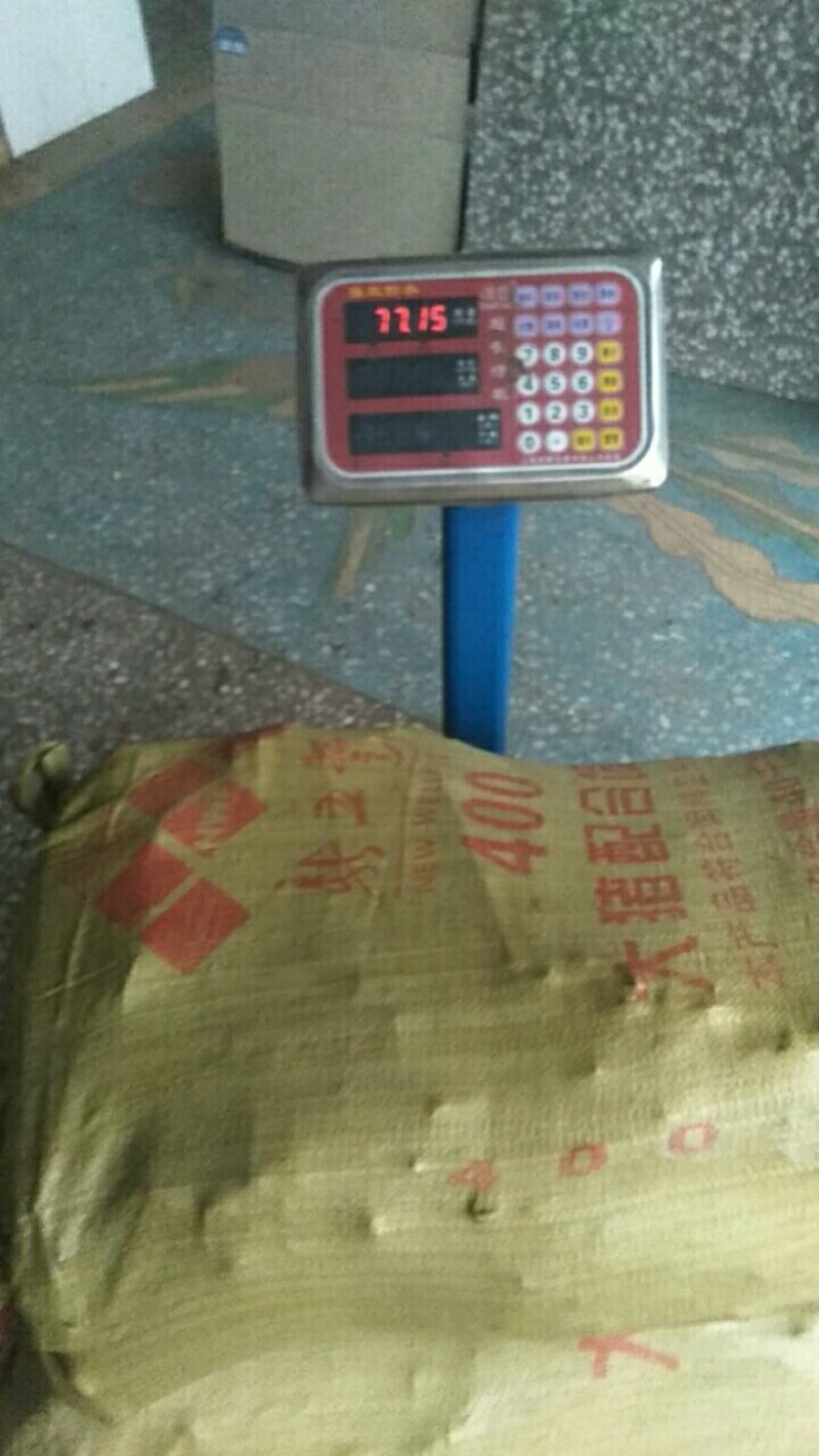新年第一波麻壳笋山美水美笋也美