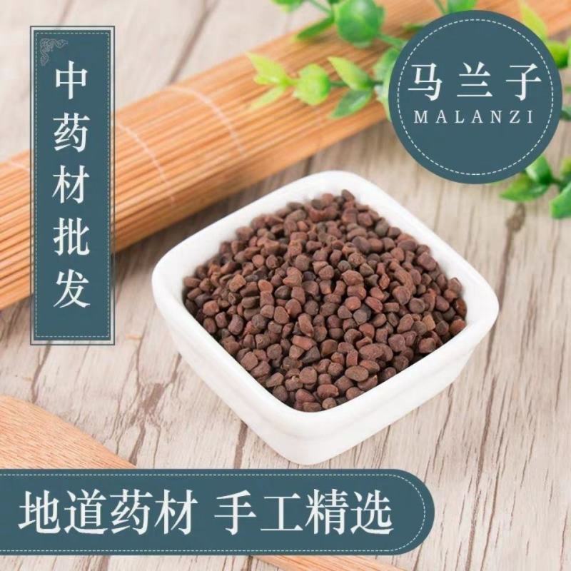 冷背品种庵闾子庵蔺子马兰子不满意保退
