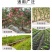 施肥器多功能颗粒背式追肥器玉米果树手提式农用手动施肥枪