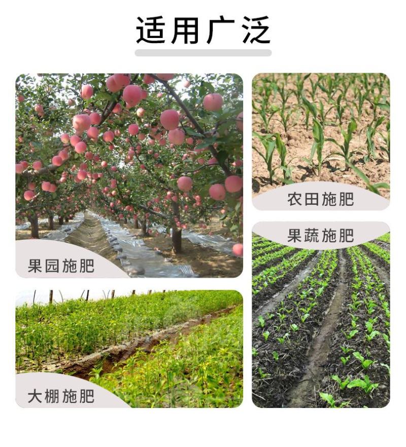 施肥器多功能颗粒背式追肥器玉米果树手提式农用手动施肥枪