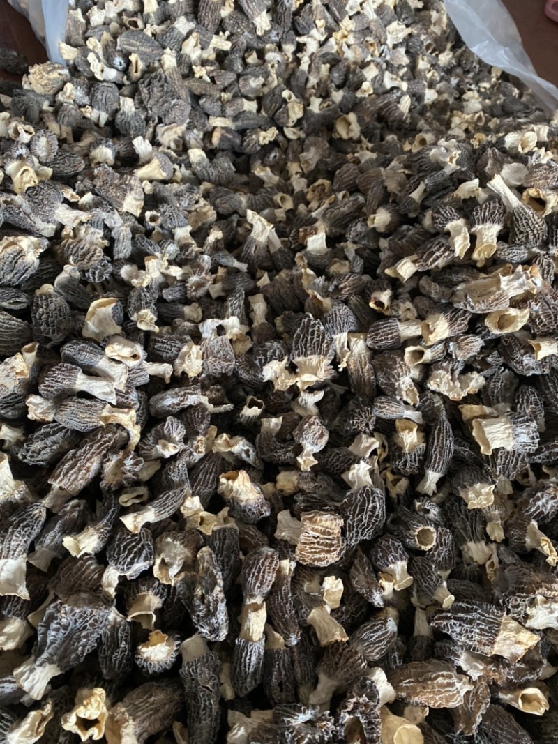 特价处理羊肚菌500克