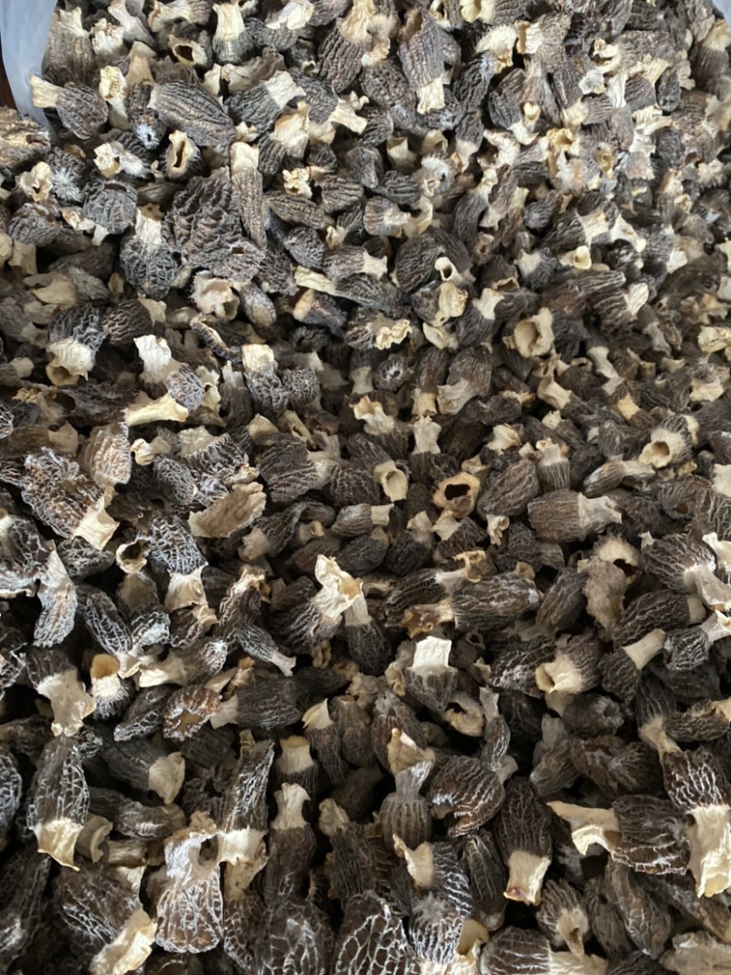 特价处理羊肚菌500克